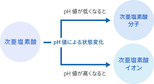 次亜塩素酸分子(HOCl)と次亜塩素酸イオン(OCl-)