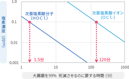 分子 (HOCl)とイオン(OCl-)の作用機序