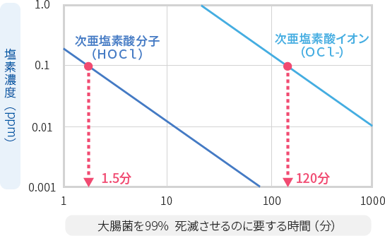 分子 （HOCl）とイオン（OCl-）の作用機序