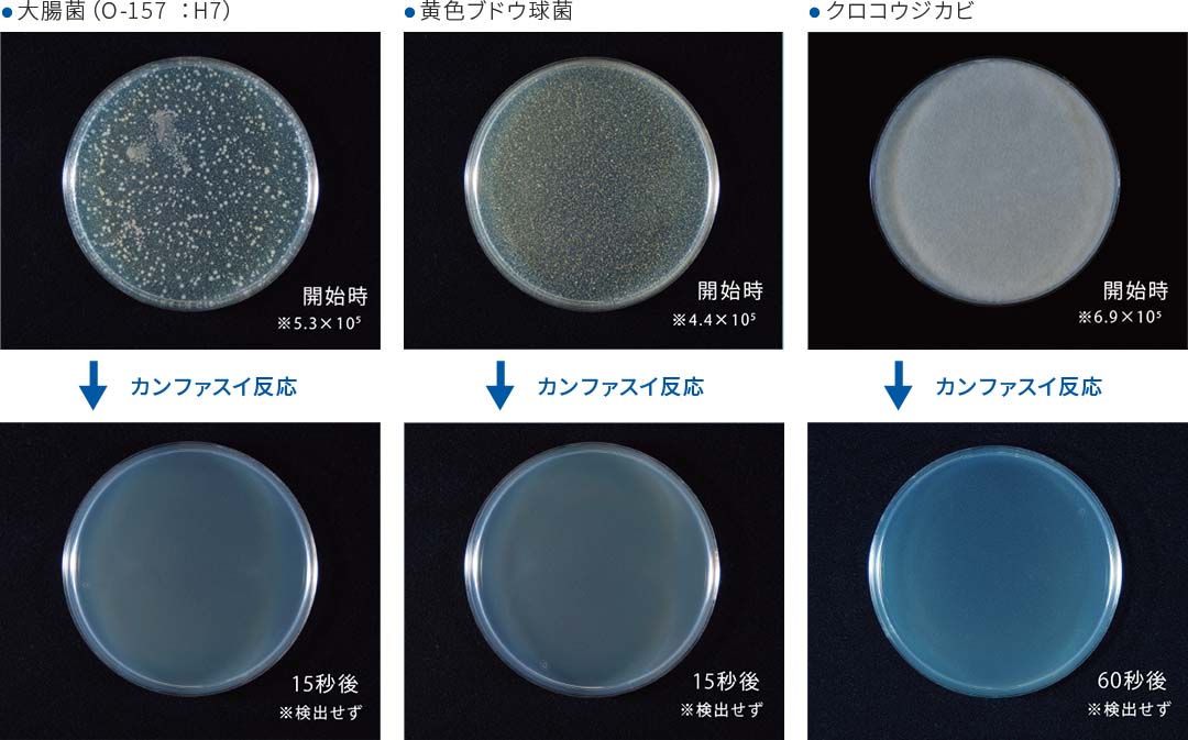 カンファスイ除菌効果試験